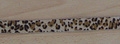 CBT1656