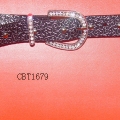 CBT1679