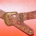 CBT1681