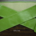 CBT1741