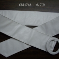 CBT1748