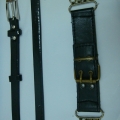 CBT1888-1889