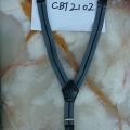 CBT2012