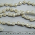 CBT2031-2032