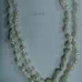 CBT2031