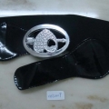 CBT2419