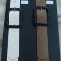 CBT2446