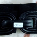 CBT2450