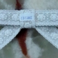 CBT2455