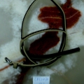 CBT2474col.2