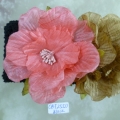 CBT2551.B