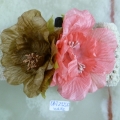 CBT2551.W