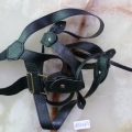 CBT2569