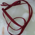 CBT2598