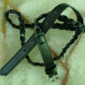 CBT2602