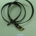 CBT2831