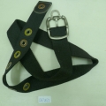CBT2872
