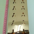 CBT2969