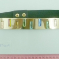 CBT3009