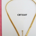 CBT3107