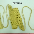 CBT3120