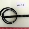 CBT3170