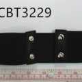 CBT3229
