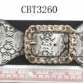 CBT3260