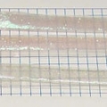 CST0032