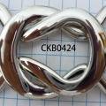 CKB0424