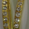 CKB10139