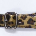 CKB10230