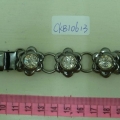 CKB10613