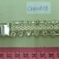 CKB10618