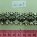 CKB10619