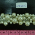 CKB10622