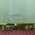 CKB10823