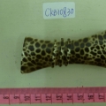 CKB10830