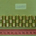CKB10921