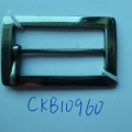 CKB10960