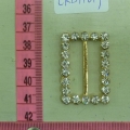 CKB11019