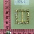 CKB11021