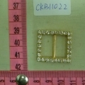 CKB11022