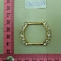 CKB11043