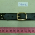 CKB11052