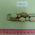 CKB11069