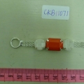 CKB11071