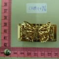 CKB11076