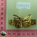 CKB11077