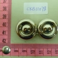 CKB11078